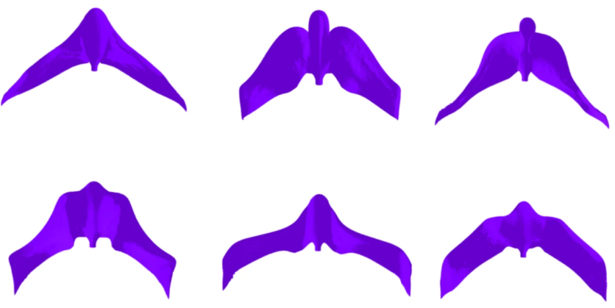 Various drone designs generated by an AI algorithm (Neural Concept)