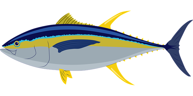Illustration of a tuna, one of the species in the Lotka-Volterra predator-prey example of nonlinear dynamics