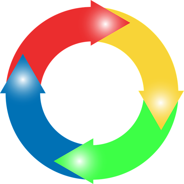 Circular diagram of four colored arrows forming a closed loop, symbolizing a continuous life cycle