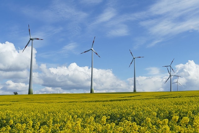 Wind turbines above a field of yellow rapeseed, illustrating renewable energy powering manufacturing sites
