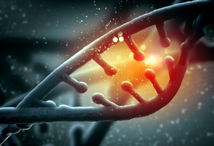 Genetic algorithms optimize by mimicking natural selection (software-tecnico-libre.es, Miguel Díaz Kusztrich)